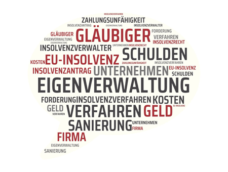 Insolvenz in eigenverwaltung